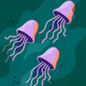 Meet your Posher, Shawn